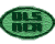 DLSAA National Capital Area Chapter Website